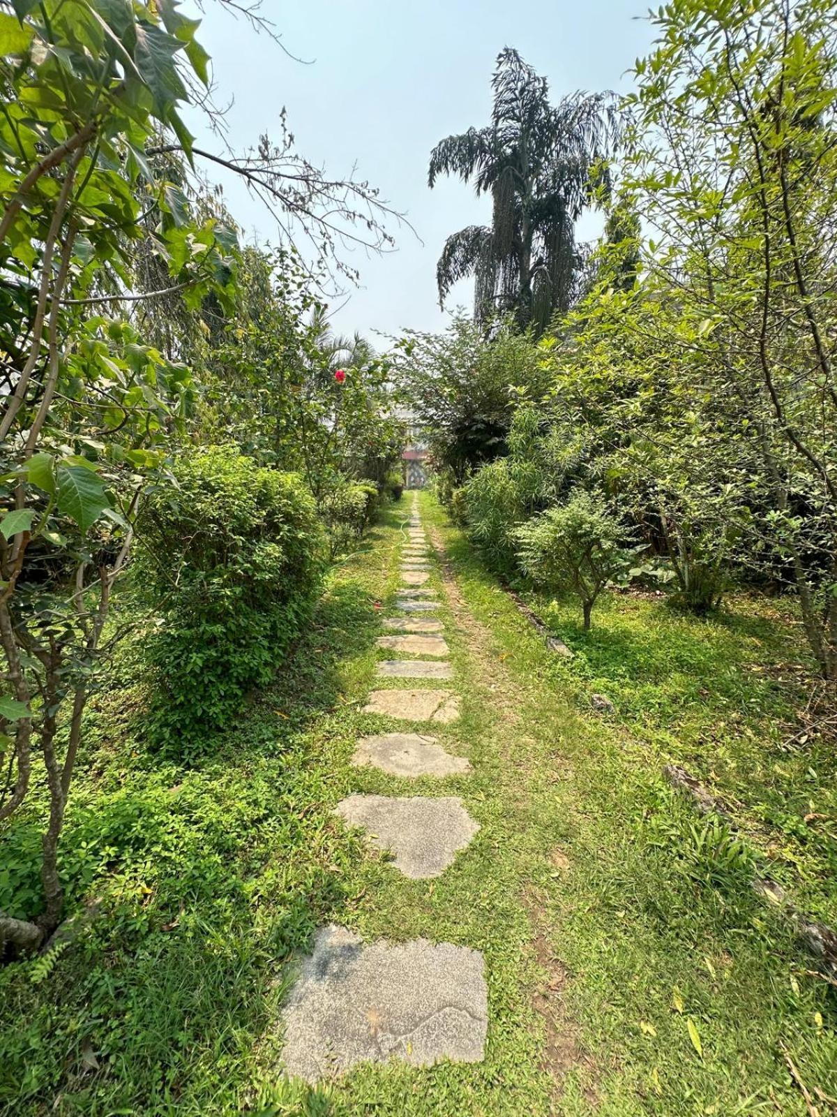 Cherry Garden Pokhara Kültér fotó